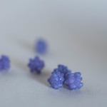 緑寿庵清水 - 巨峰金平糖（きよほうこんぺいたう）