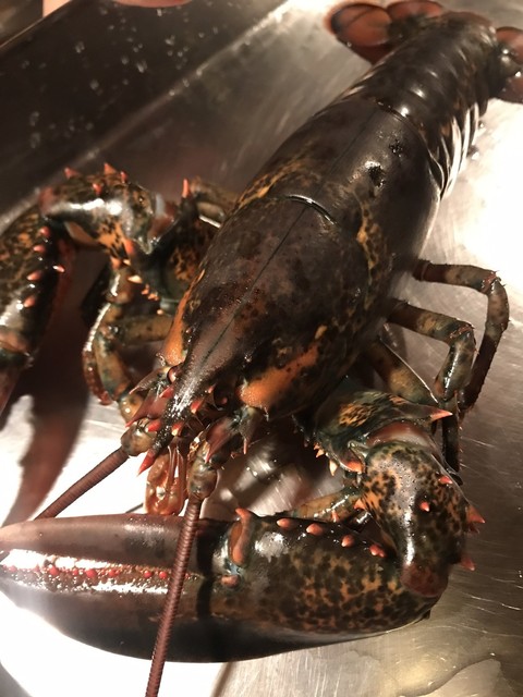 ルモンド ふじがや 静岡 ステーキ 食べログ ルモンド ふじがや 静岡 ステーキ 食べログ