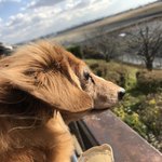 麺哲支店 麺野郎 - 空港を望むメリー♪