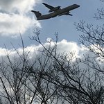 麺哲支店 麺野郎 - 