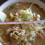 チャルメラたかの - 料理写真:味噌ラーメン650円（麺固め）丼の直径21cm