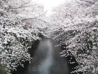 Nakameguro Hitsuji - 