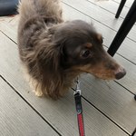 スターバックスコーヒー - 