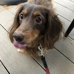 スターバックスコーヒー - 