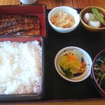 Unagino Kawatoyo - 鰻重ご飯やや大盛