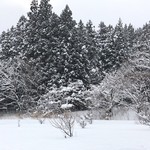 定義とうふ店 - 