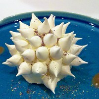 Fine bouche - 