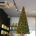 Nicolai Bergmann NOMU - 