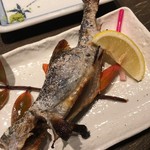 小川の魚 - 