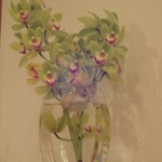 小石川 かとう - 本日の花