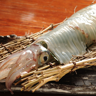 上野イカセンター