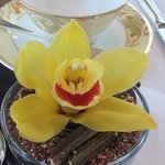 ザ・ロビーラウンジ - 