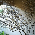 柳生の庄 - お正月のしつらえ