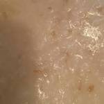 中国レストラン 雪園 - 