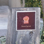 ダンディゾン - 