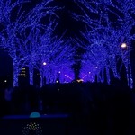 ブラッスリー・ヴィロン - 