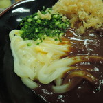 手打うどん くうかい - このウマそうなビジュアル！カレーと天かすは合いますよ！