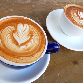 ソルティ サニー ボンダイ カフェ_1