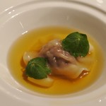 コシモ・プリュス - 鳥取県産 鹿のコンソメ ラビオリ⑤