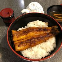 菊屋 - 特上うな丼 2200円。
