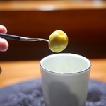 TACUBO - オリーブ