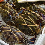 日本酒商店 YODARE - 