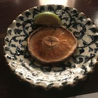 たでの葉 - 