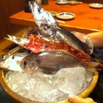 魚 しんのすけ - 今日は魚は６種類から選べました