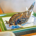 柳家 - 馬瀬川の子持ち鮎、精悍な顔と、猛々しい掛針（かけばり）の傷痕（しょうこん）！