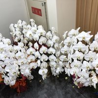 心斎橋 鮨 おか崎 - 