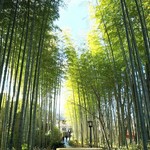 竹の里 水ぐち - 竹林の小径のすぐ脇です