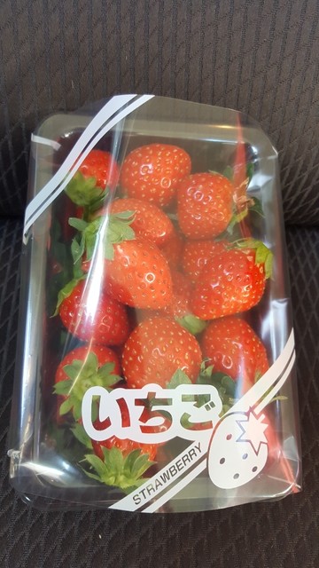 白浜いちご狩りセンター 南房総市その他 その他 食べログ 白浜いちご狩りセンター 南房総市その他 その他 食べログ