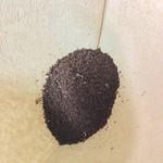 珈琲焙煎工房 オリエントコーヒー - 