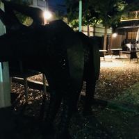 飛騨牛グリルばくろ - 店舗外観。