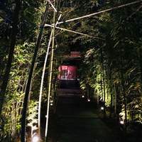 飛騨牛グリルばくろ - 店舗入口。とてもムーディ。