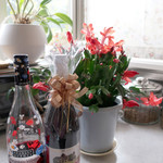 リストランテ ピッツェリア ジャンカルロ トウキョウ - ヌーヴォーの季節が終わる