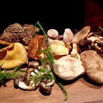 ブレストンコート ユカワタン - 