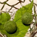 ブレストンコート ユカワタン - 