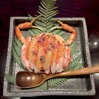 小熊 - 