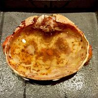 小熊 - 