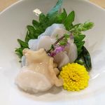 豊鮨 - 刺身