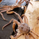 いけ活かに 竹林 - 活きの良い蟹たち