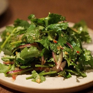 Nouvelle Ethnique ATHA_1