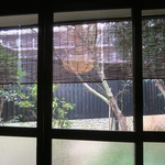 土家 - 29年12月　大晦日の中庭