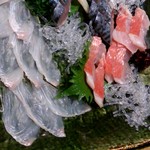 向日葵 - 〆サバ、金目鯛、ヒラメ