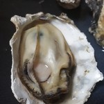 鎌島水産 - 牡蠣