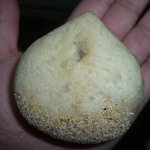 ブーランジュリー グウ - 欧風栗饅頭