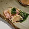 はつ