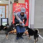 ピッザピッザピッザ - 