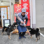 ピッザピッザピッザ - 